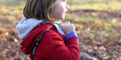 7 Questions to Ask When Considering Forest School